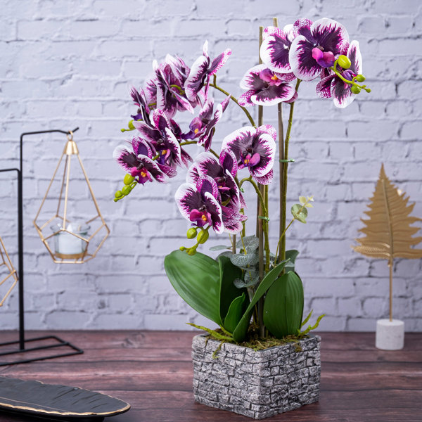 Primrue Fake Orchid Plant, Velvet Touch, With Brick Wall Like Planter